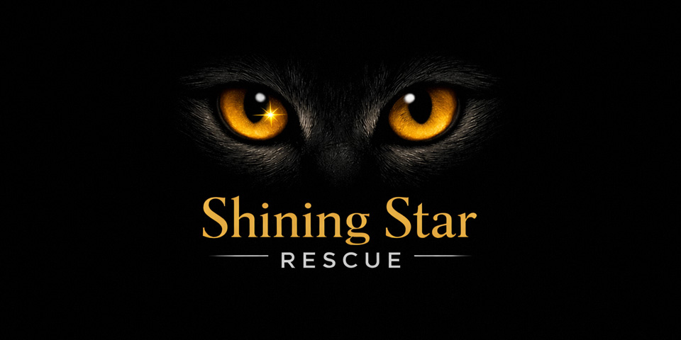 Shop & Raise for Shining Star Rescue thumbnail
