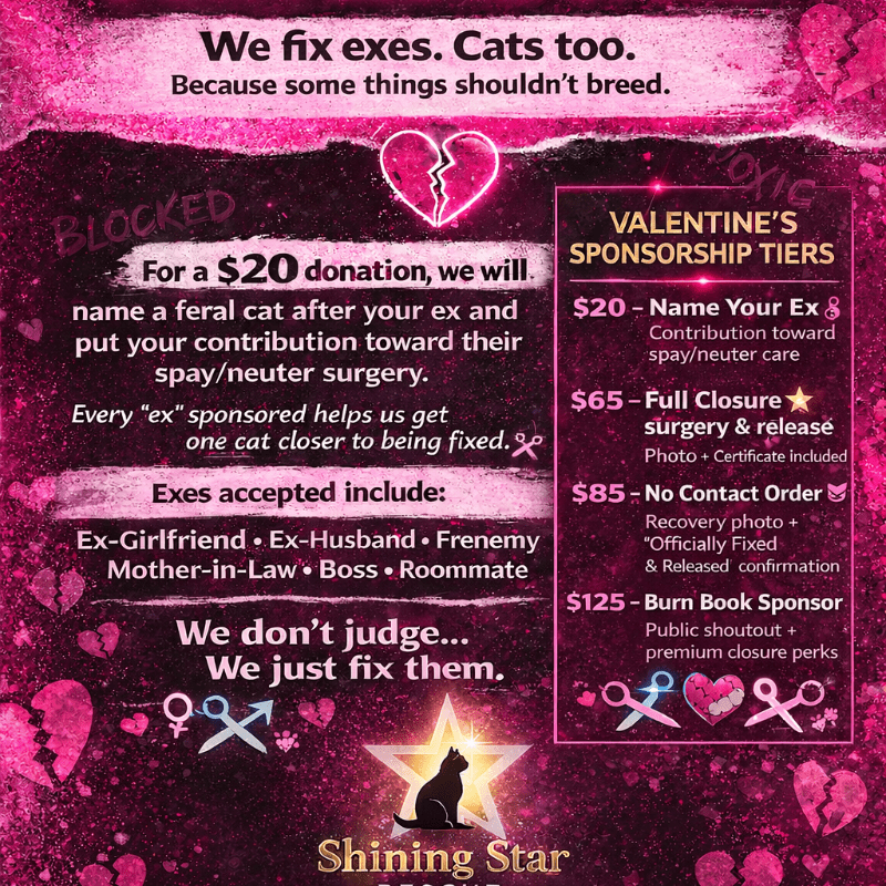 Fix Your Heart & Our Feral Cats thumbnail