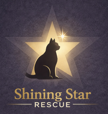 Amazon Wishlist thumbnail