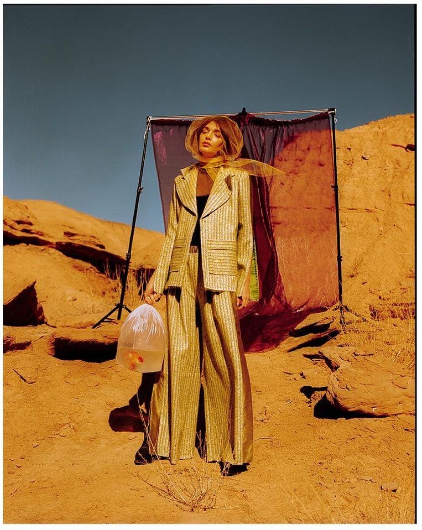 Following the Dream of Modeling: The stories of Iranian Models and their Challenges thumbnail