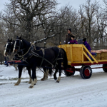 Hay & Sleigh Rides thumbnail