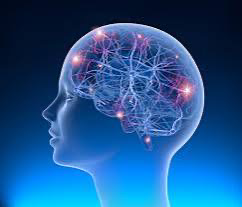 Epilepsy, the menopause and HRT thumbnail