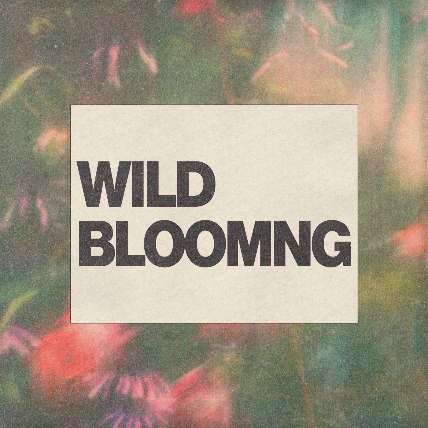 WILD BLOOMING: Reclamations, Redirections & Liberations Through Four Powerful Transits from Your Late 30s to Early 40s — July 5th thumbnail