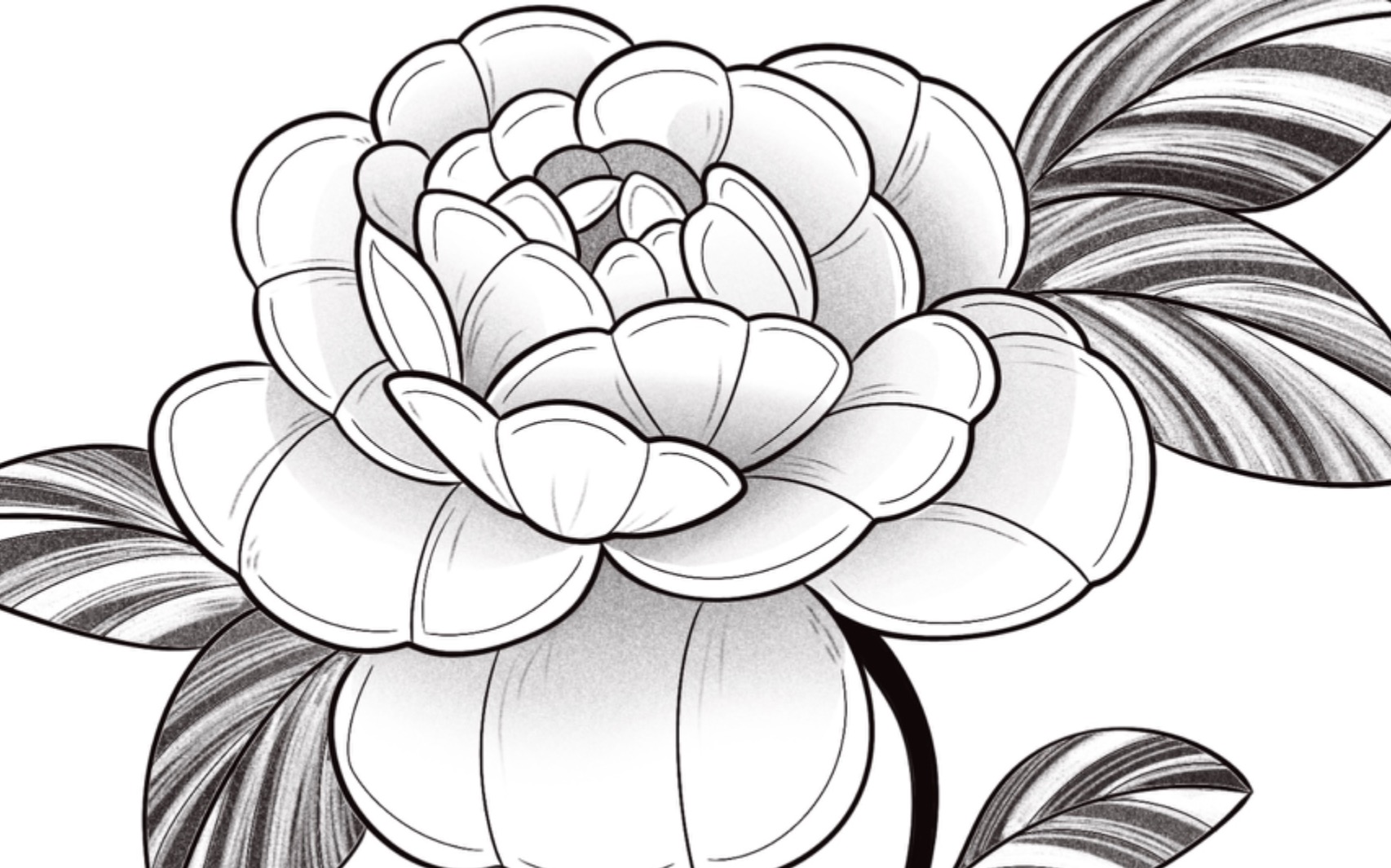 Available Flash thumbnail