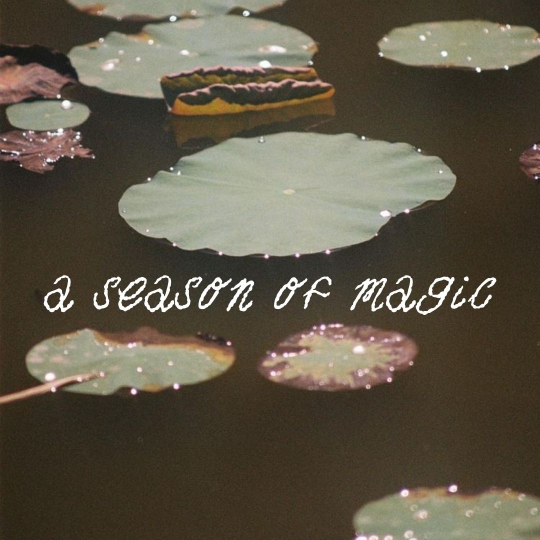 Oct- Nov Workshop Bundle: A Season of Magic thumbnail