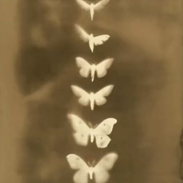 Back to IG thumbnail