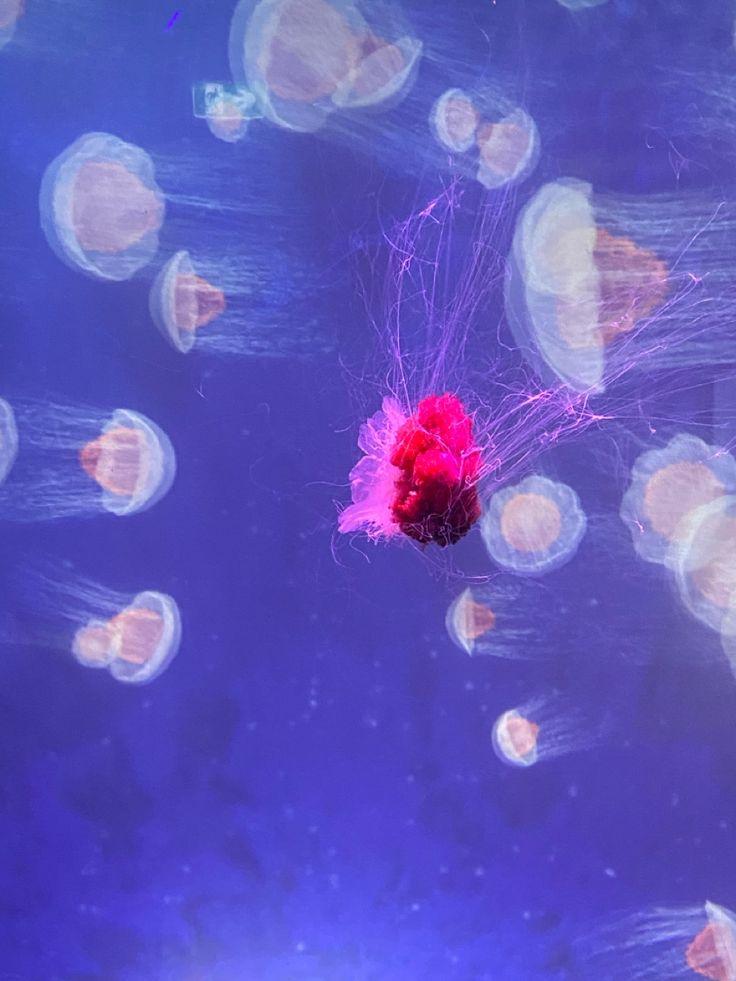 Biophilia Writing workshop Kate Belew - Feb 26th thumbnail