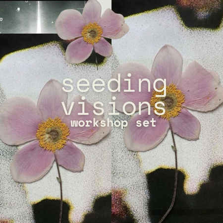 Seeding Visions : Solstice & New Years Workshop Set thumbnail