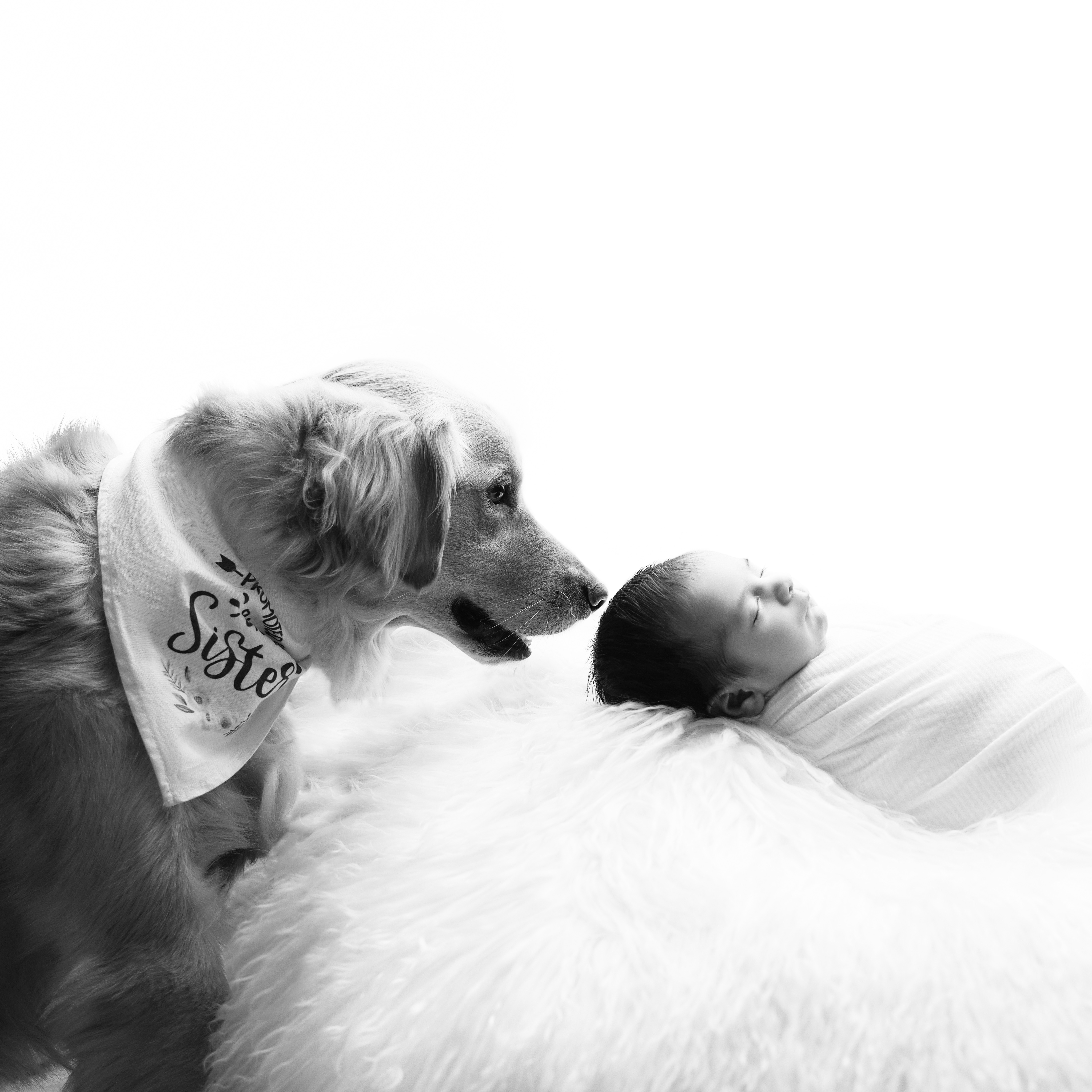 Instagram  thumbnail