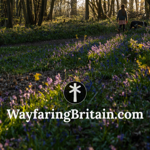 My website: Wayfaring Britain thumbnail