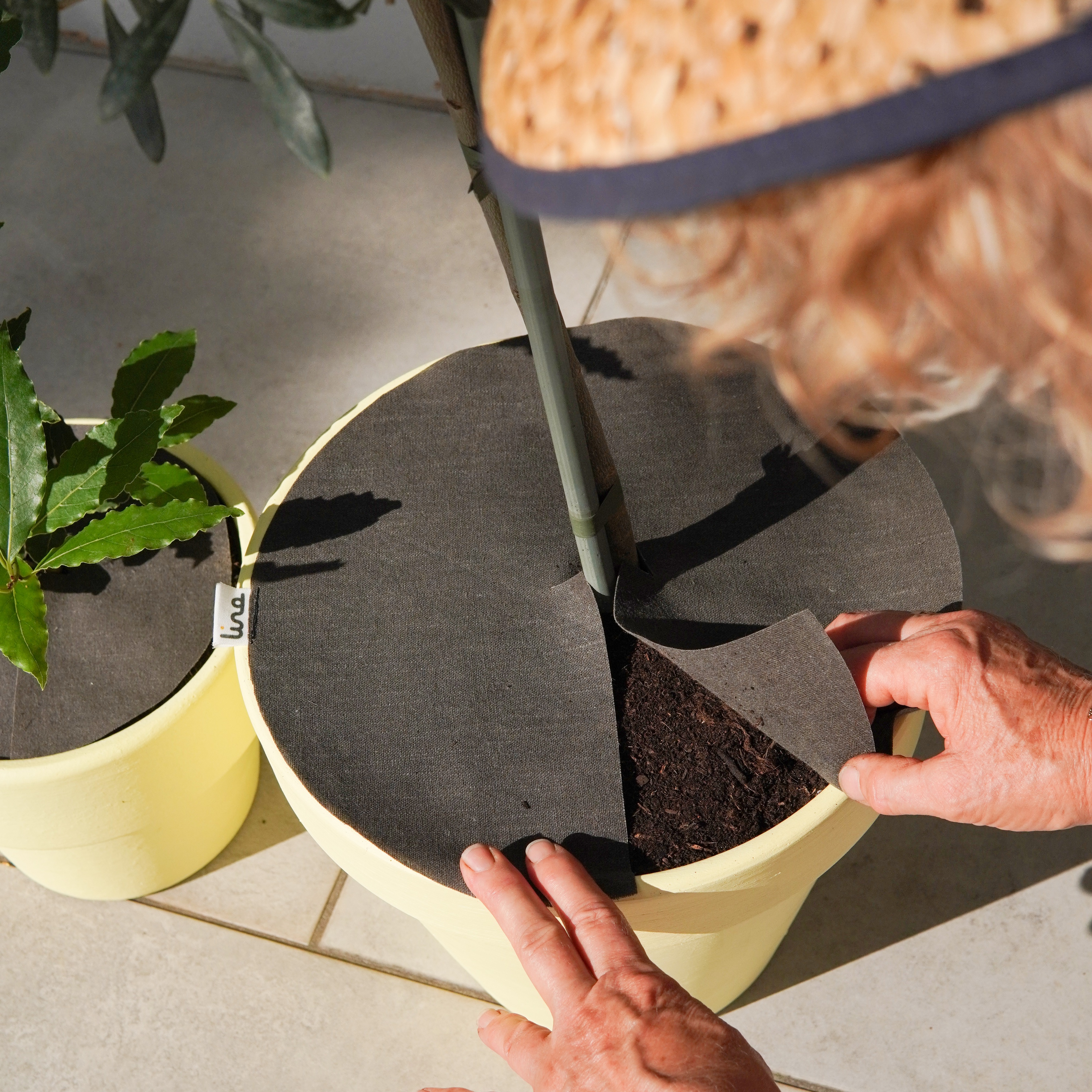 Questionnaire pour les particuliers 🌱 thumbnail