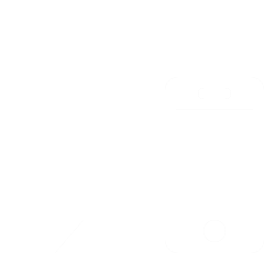 Synod Website thumbnail