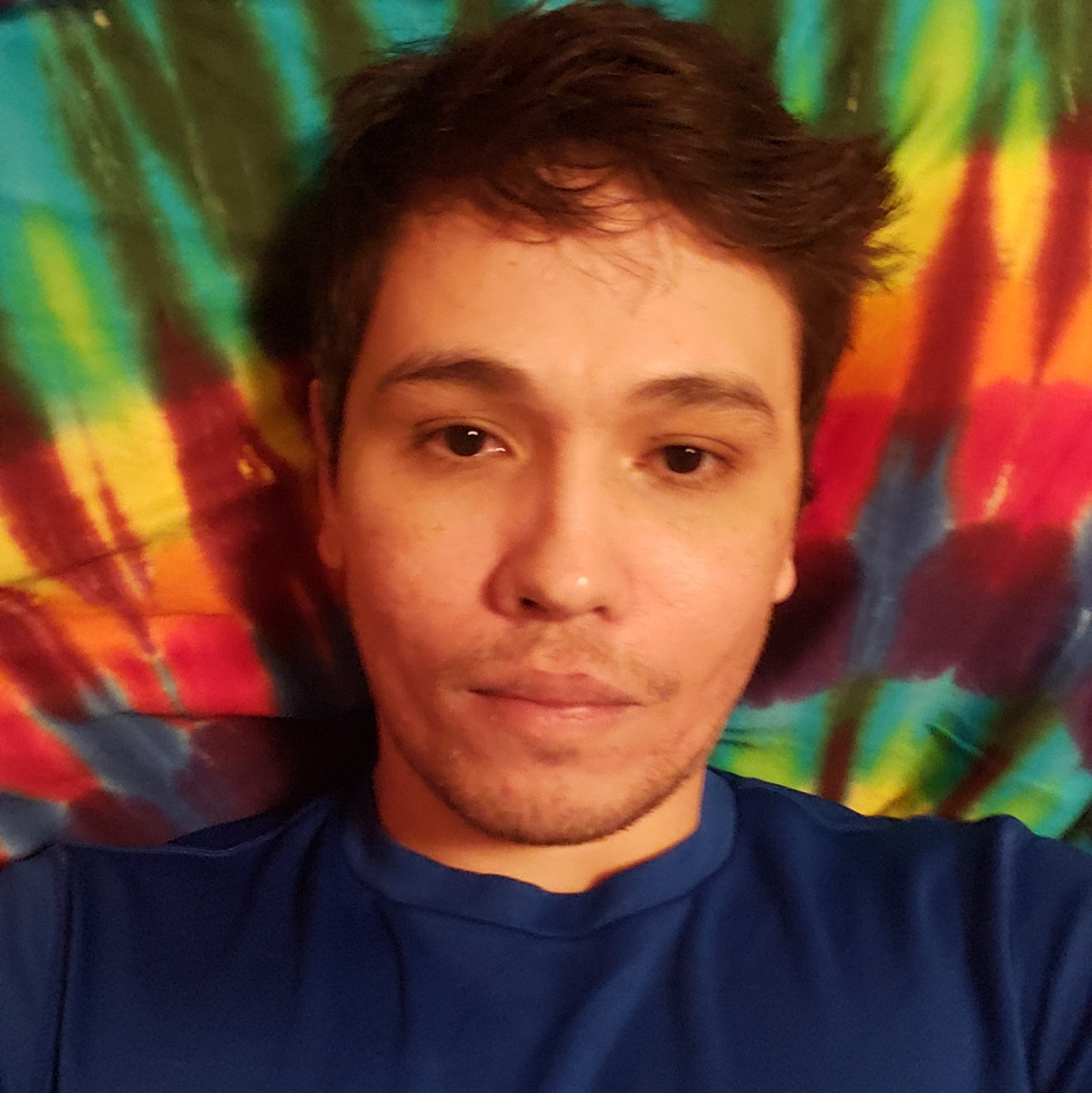 BioSite profile picture for @multimedia