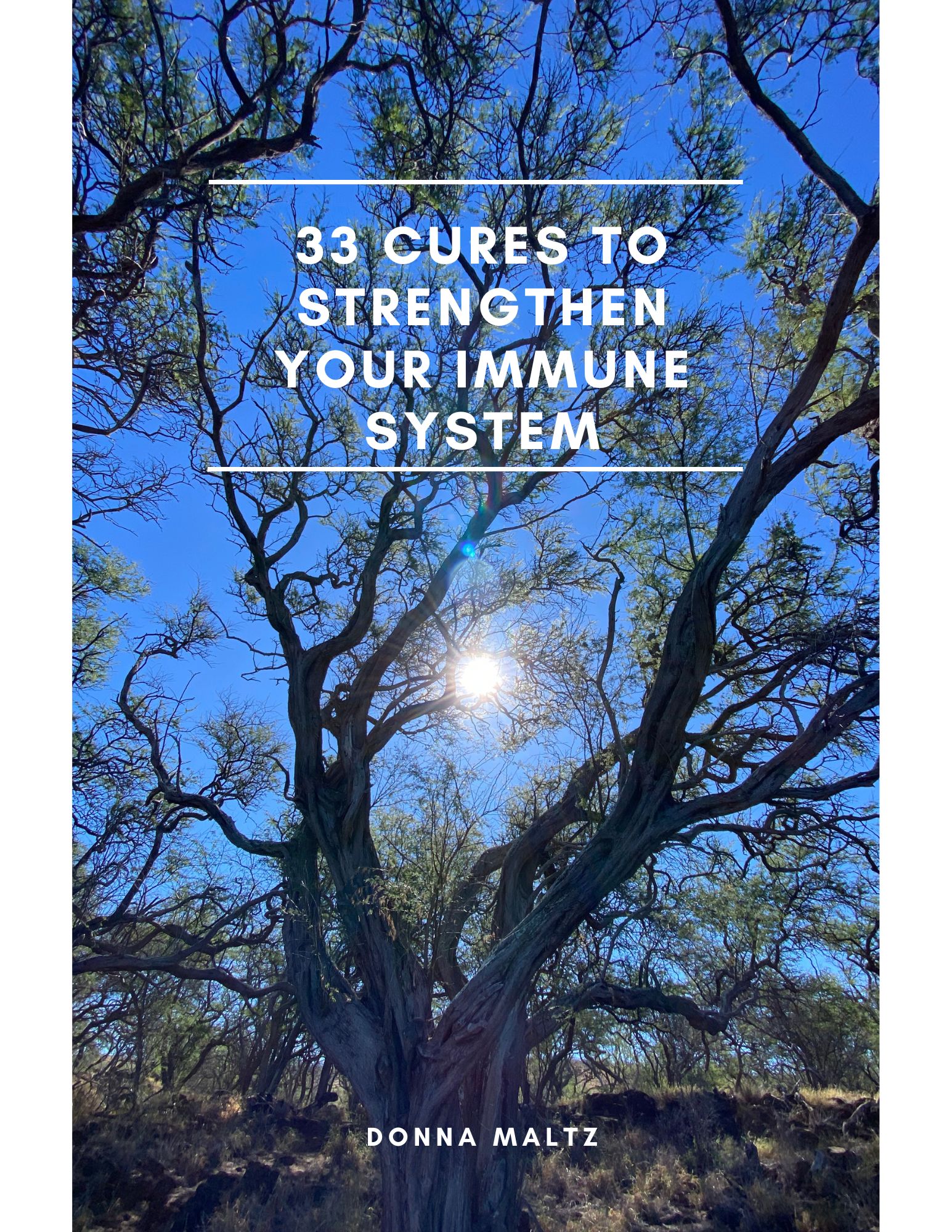 🌿 Get your Free 33 Conscious Cures Guide thumbnail