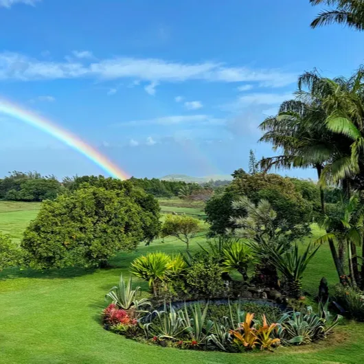 🌺 10% Off...Retreat to Hawaii thumbnail