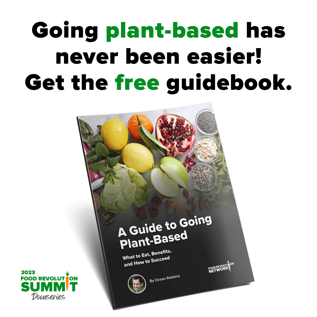 🥦 Download your FREE Plant-Based Guidebook! thumbnail