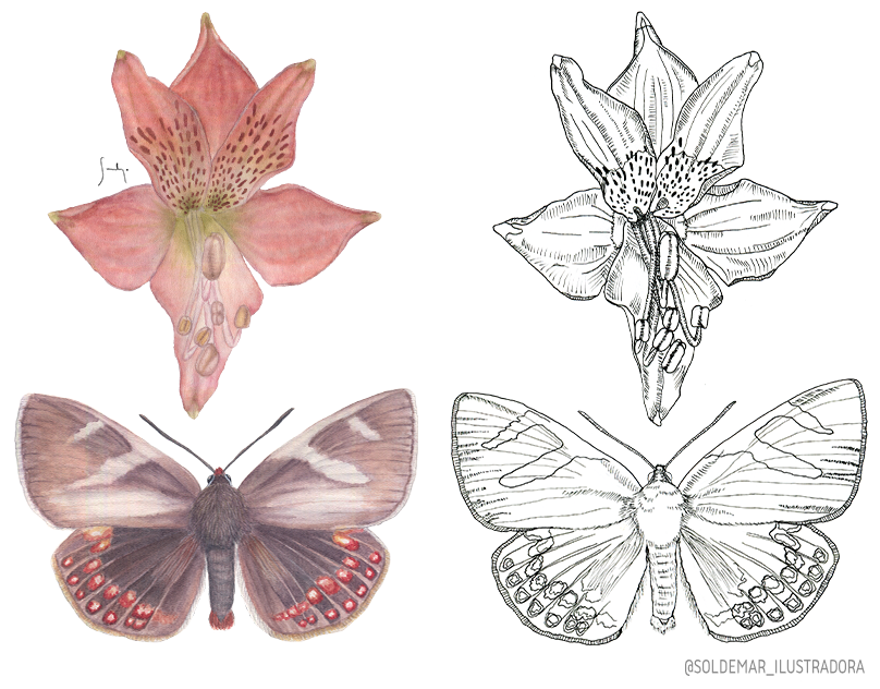 ¡Mira mi portafolio! thumbnail