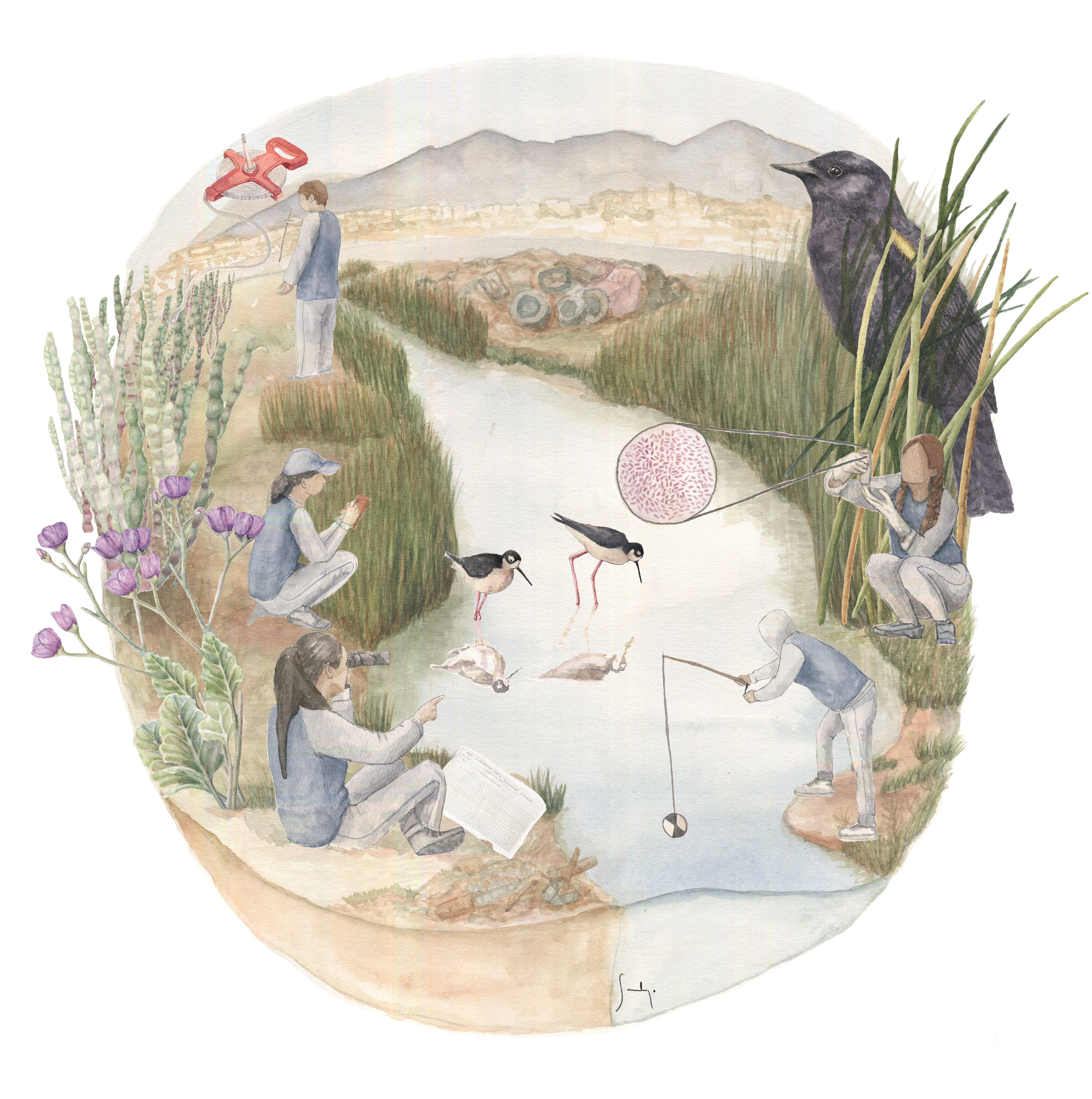 ¡Descarga! Ilustración humedal el culebrón thumbnail