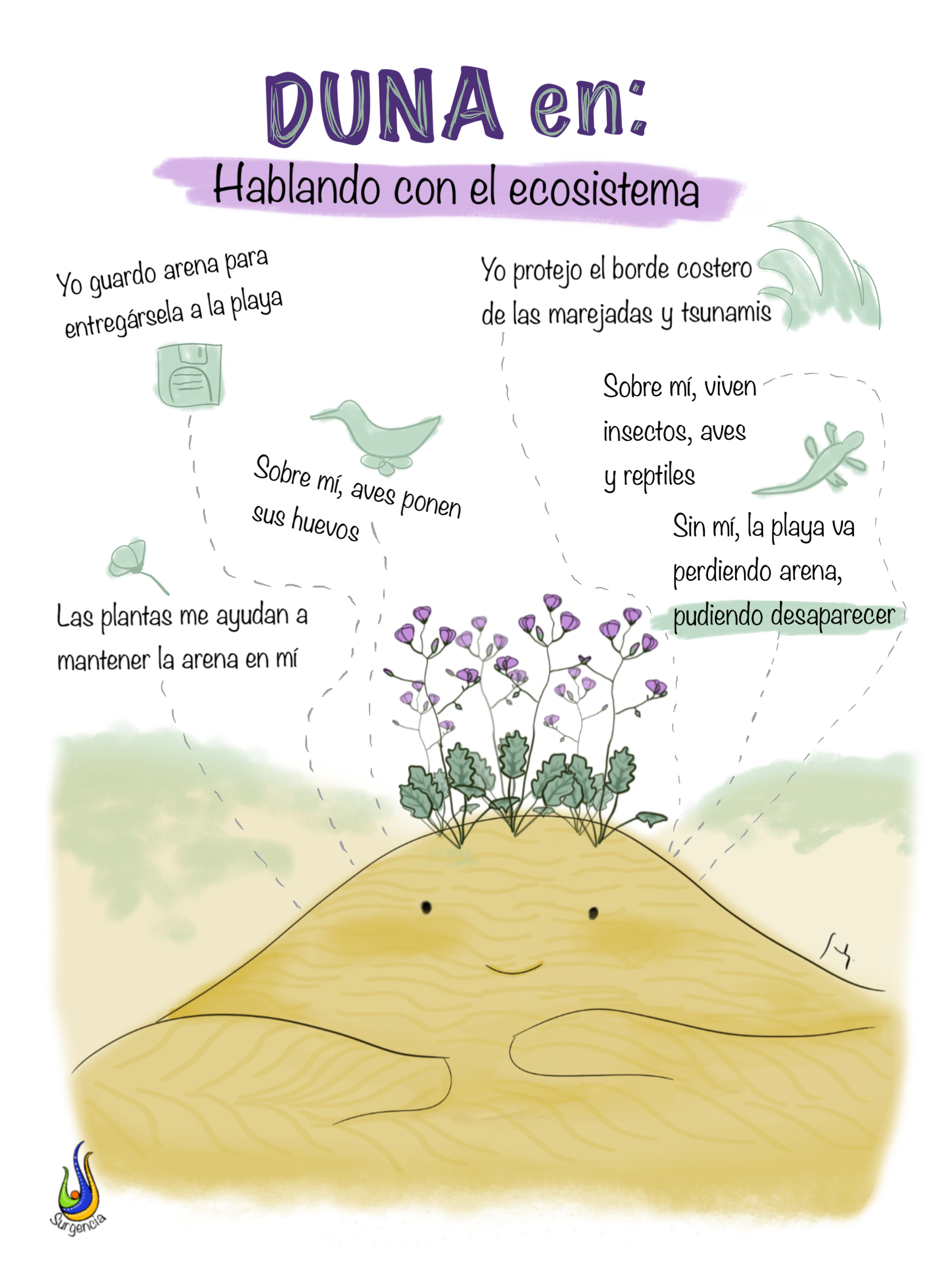 ¡Descarga! Infografía dunas costeras thumbnail