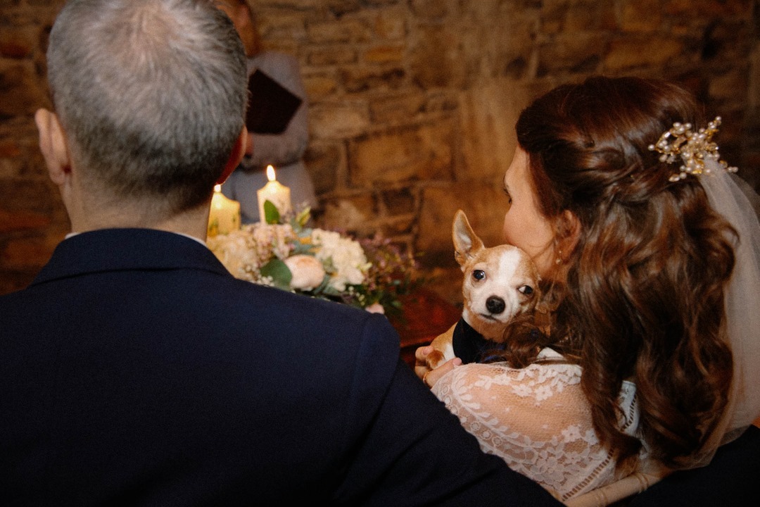 Happy Friday! Have you seen a cuter face? I'll wait :)⠀⠀⠀⠀⠀⠀⠀⠀⠀
⠀⠀⠀⠀⠀⠀⠀⠀⠀
⠀⠀⠀⠀⠀⠀⠀⠀⠀
#dogsatweddings #weddingdog #irishbr