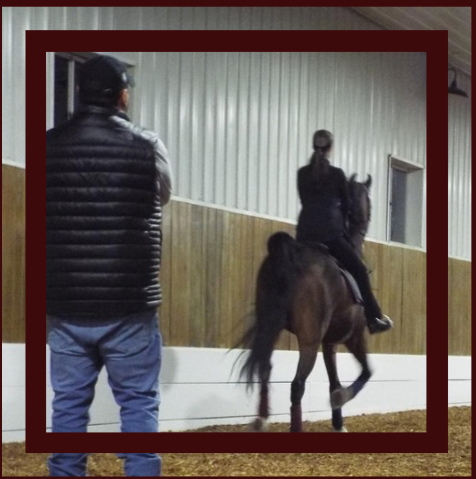 Lessons & Training  thumbnail