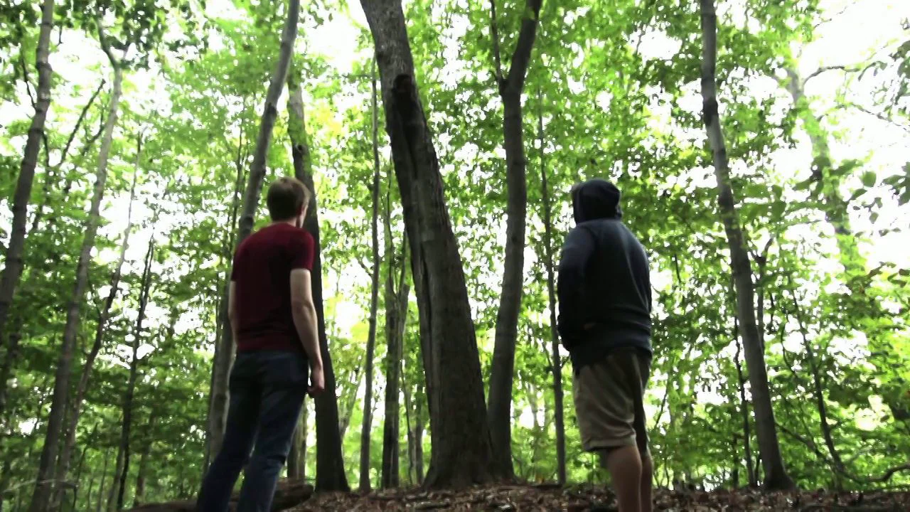 The Spoiling Tree thumbnail