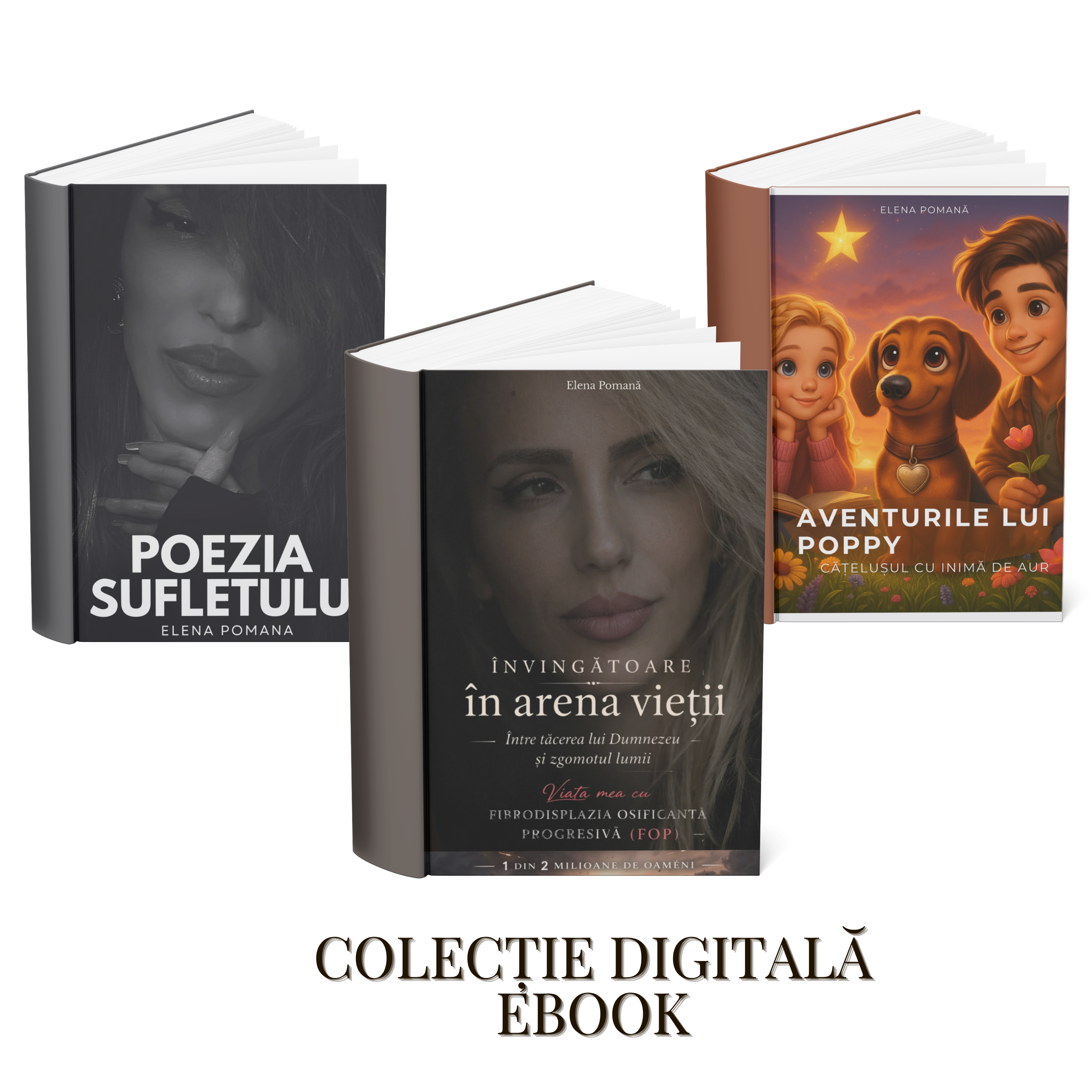 Colectie digitala Ebook thumbnail