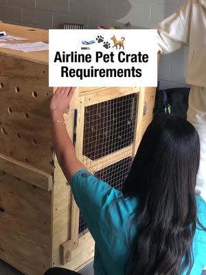 If your pet is flying in cargo, here’s what to look for when finding a crate: - Non-collapsible crate - Ventilation on a