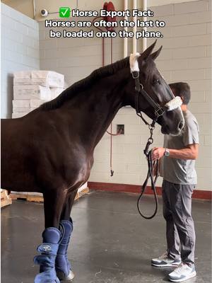 Did you know this fact about horse transportation? ✈️  #equestrian #horseshow #horsetravel #arkjfk #jfkairport