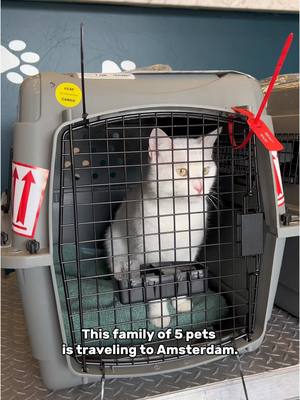 Did you know The ARK is a certified cargo screening facility? This allows us to screen pet crates before departure. Pets