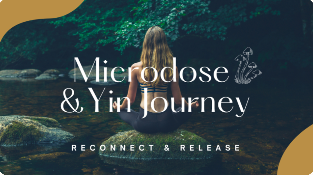 22 feb | Microdose & Yin (Amsterdam in person event) thumbnail