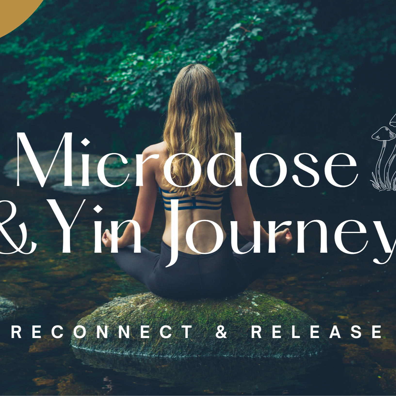 24th May- Microdose and Yin Ceremony (in Amsterdam) thumbnail