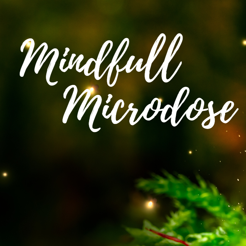 23 April Mindfull micrdose-  A 6 week group assisted microdose journey thumbnail