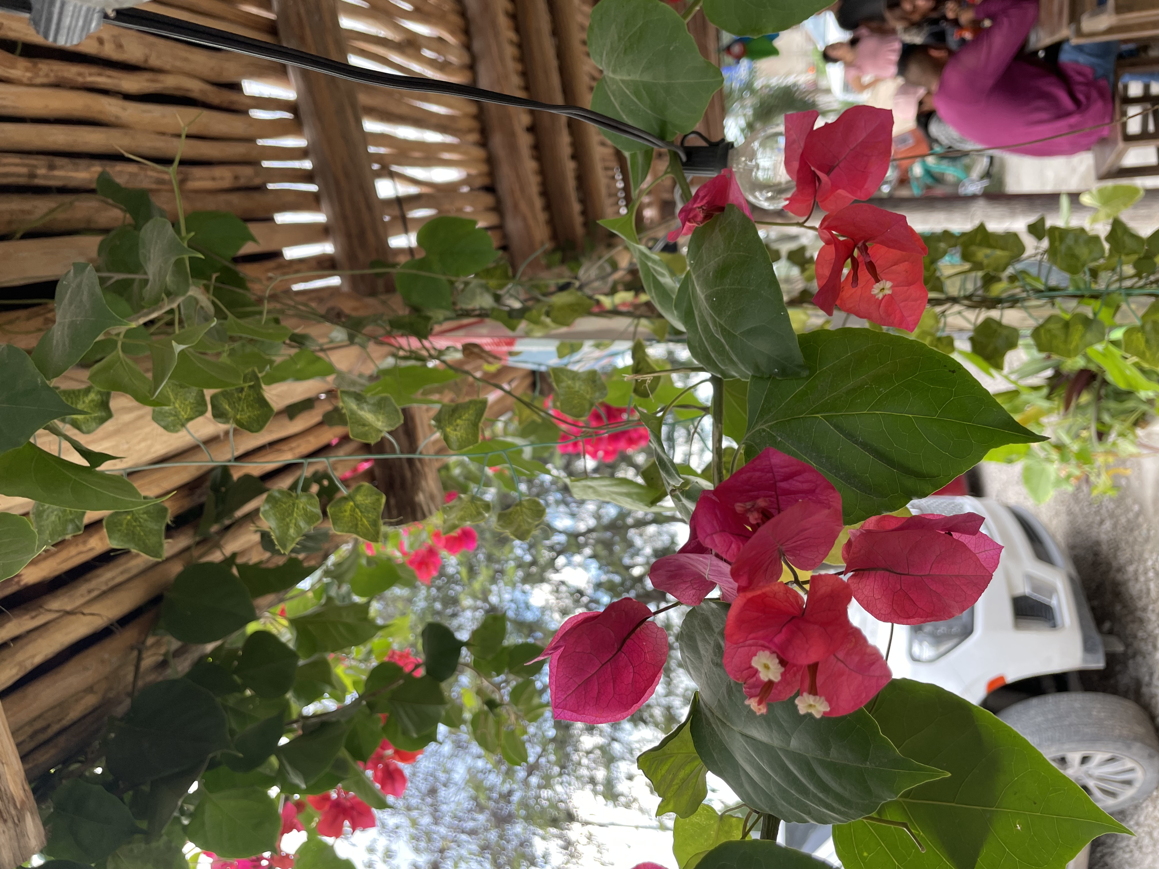 Amazon Storefront thumbnail