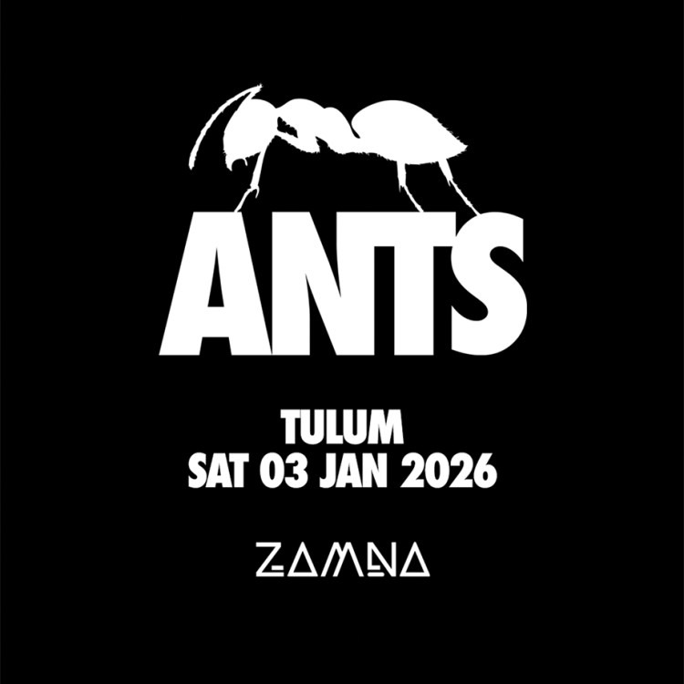 JAN 3 - ANTS @ ZAMNA thumbnail