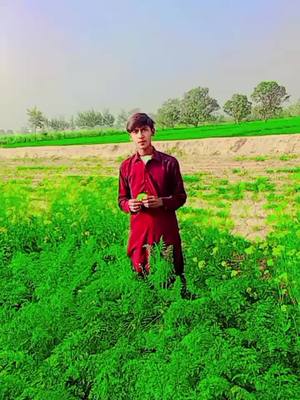 Ali Sham Muhammad Bilal AliShamBilal #alisham #muhammadbilal #alishamking🤴 #alishambilal🤴 #alishambilal 