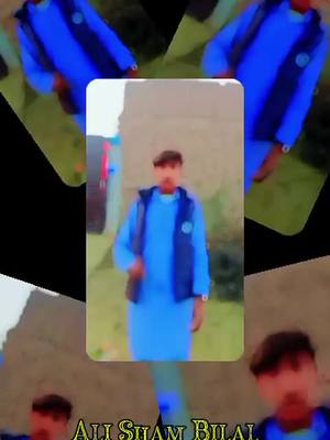 Ali Sham Muhammad Bilal AliShamBilal #alisham #muhammadbilal #alishamking🤴 #alishambilal🤴 #alishambilal 