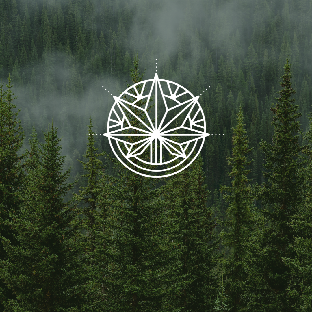 Strains of the Earth Website thumbnail