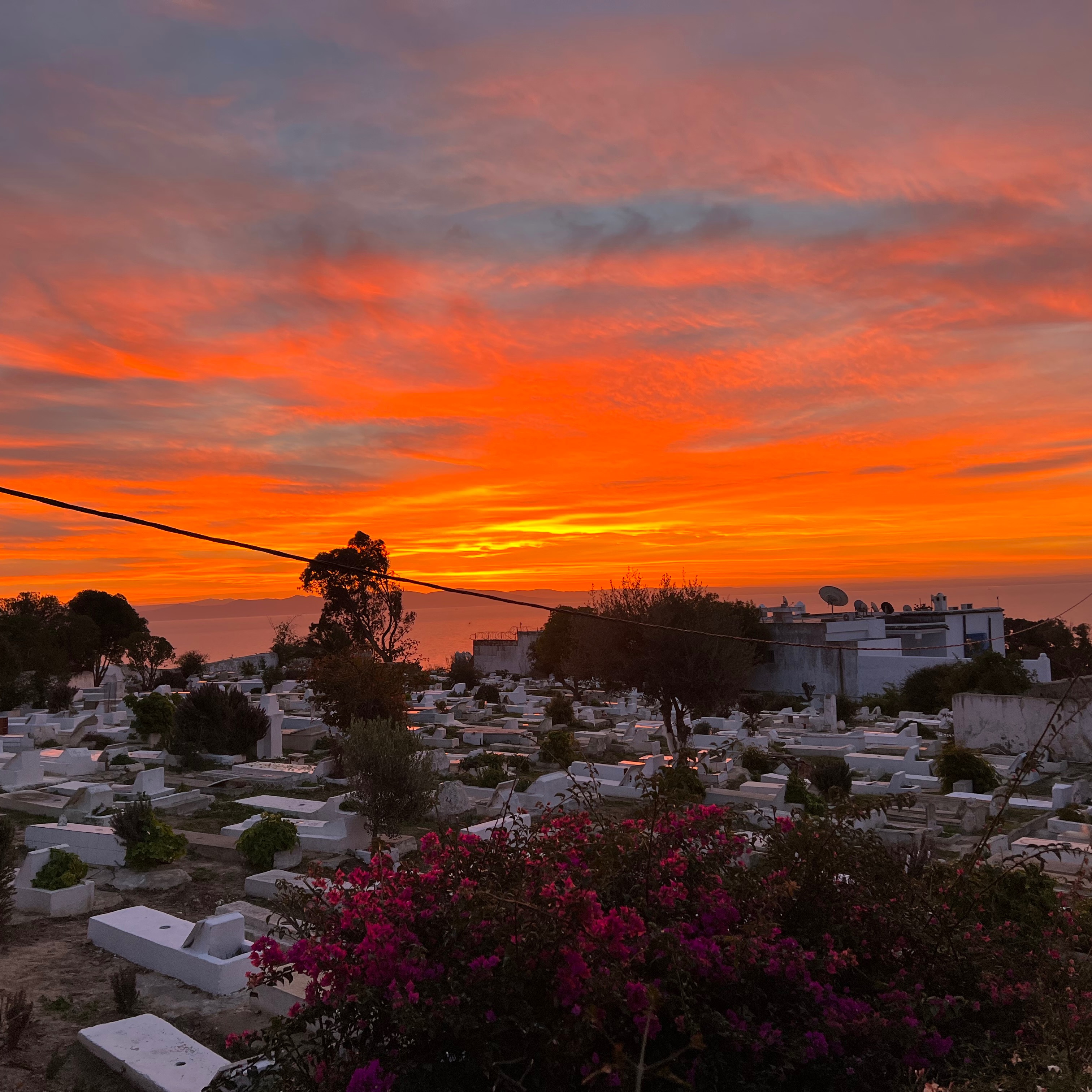 Pilgrimage Everyday | Our Blog thumbnail