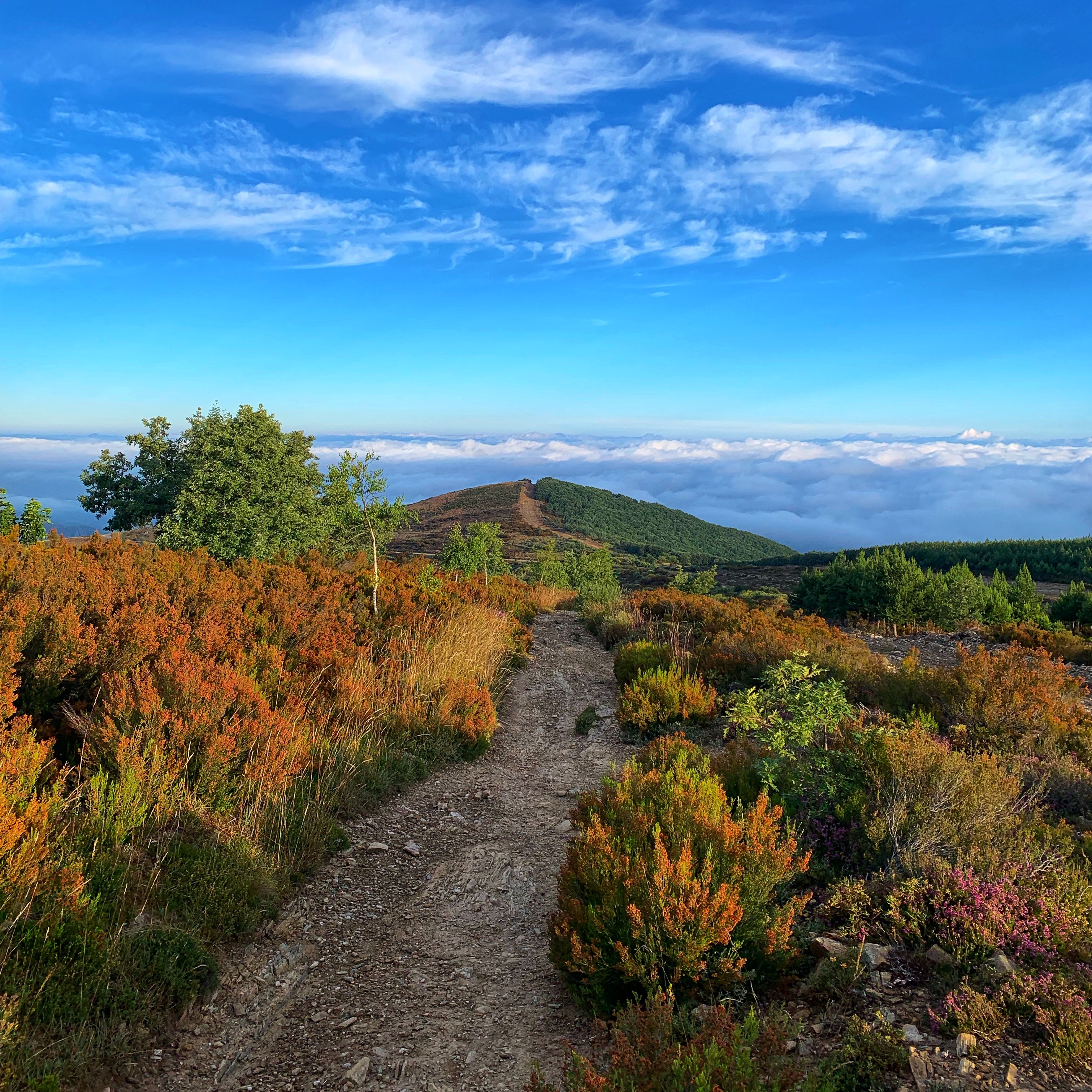 The Five Pillars of Shared Pilgrimage Retreats thumbnail