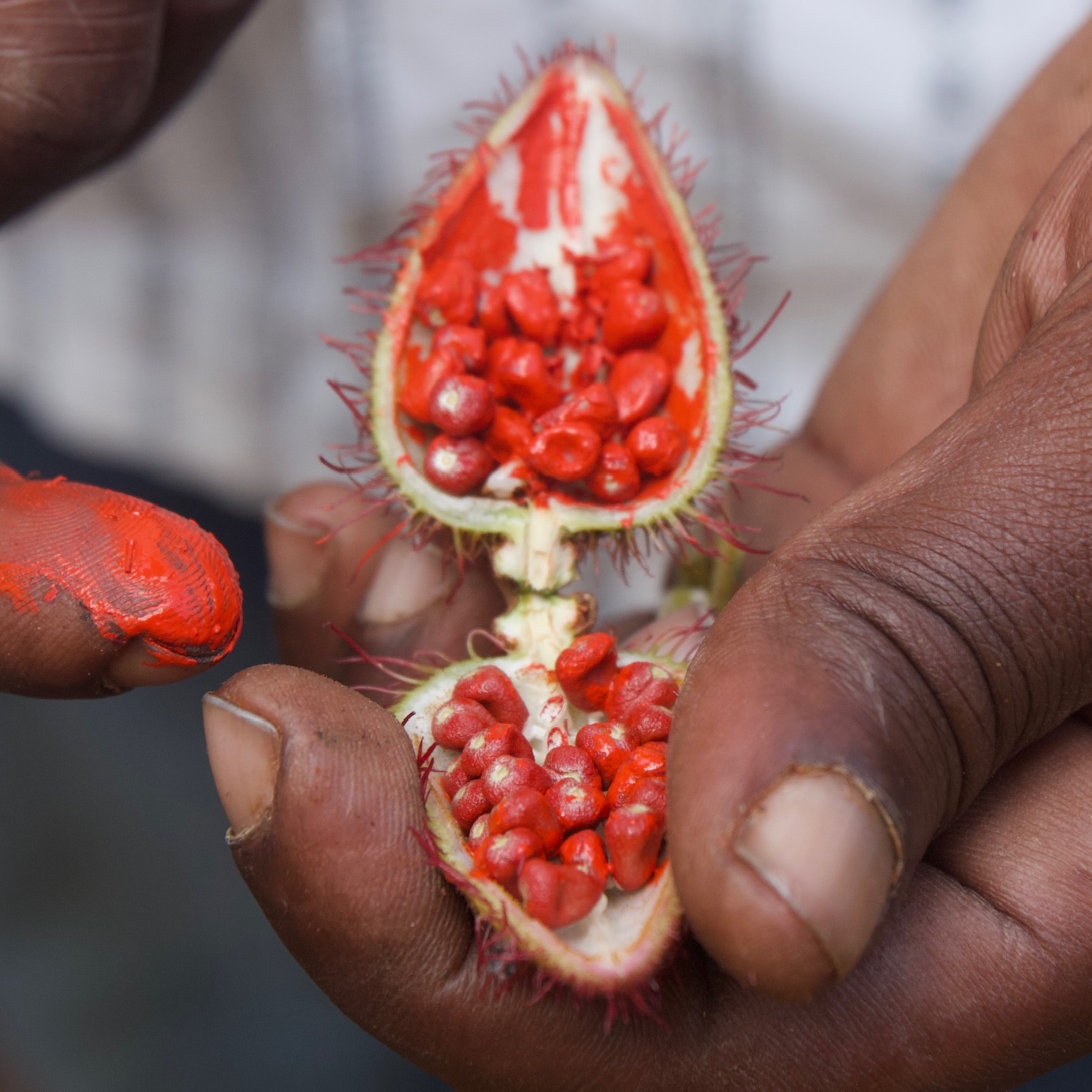 The Art of Slow Living | Zanzibar thumbnail