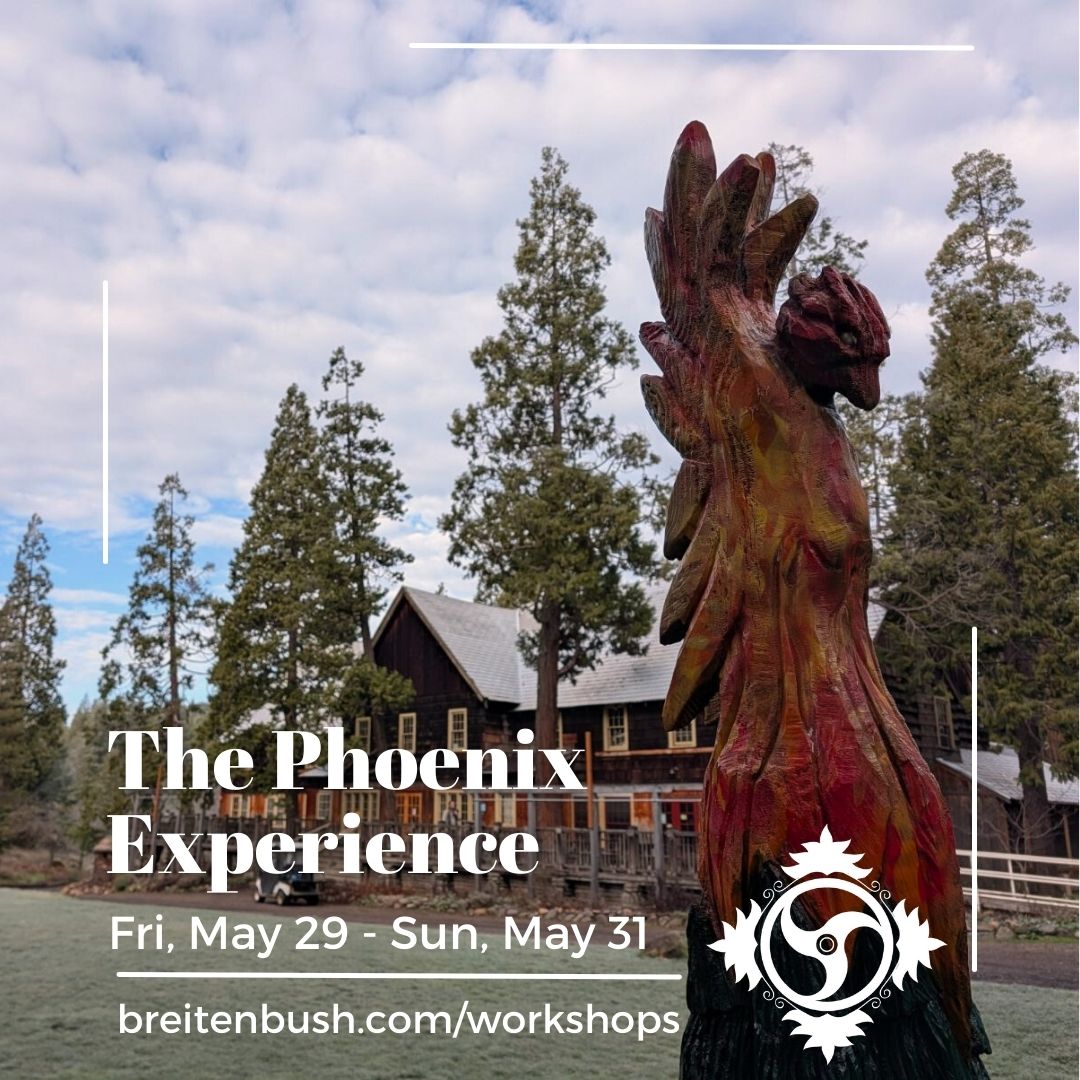 The Phoenix Experience thumbnail
