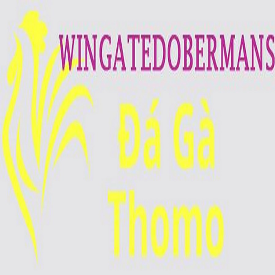 Đá Gà Trực Tiếp Thomo thumbnail
