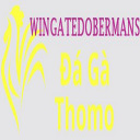 @dagawingate · Đá Gà Trực Tiếp Thomo thumbnail