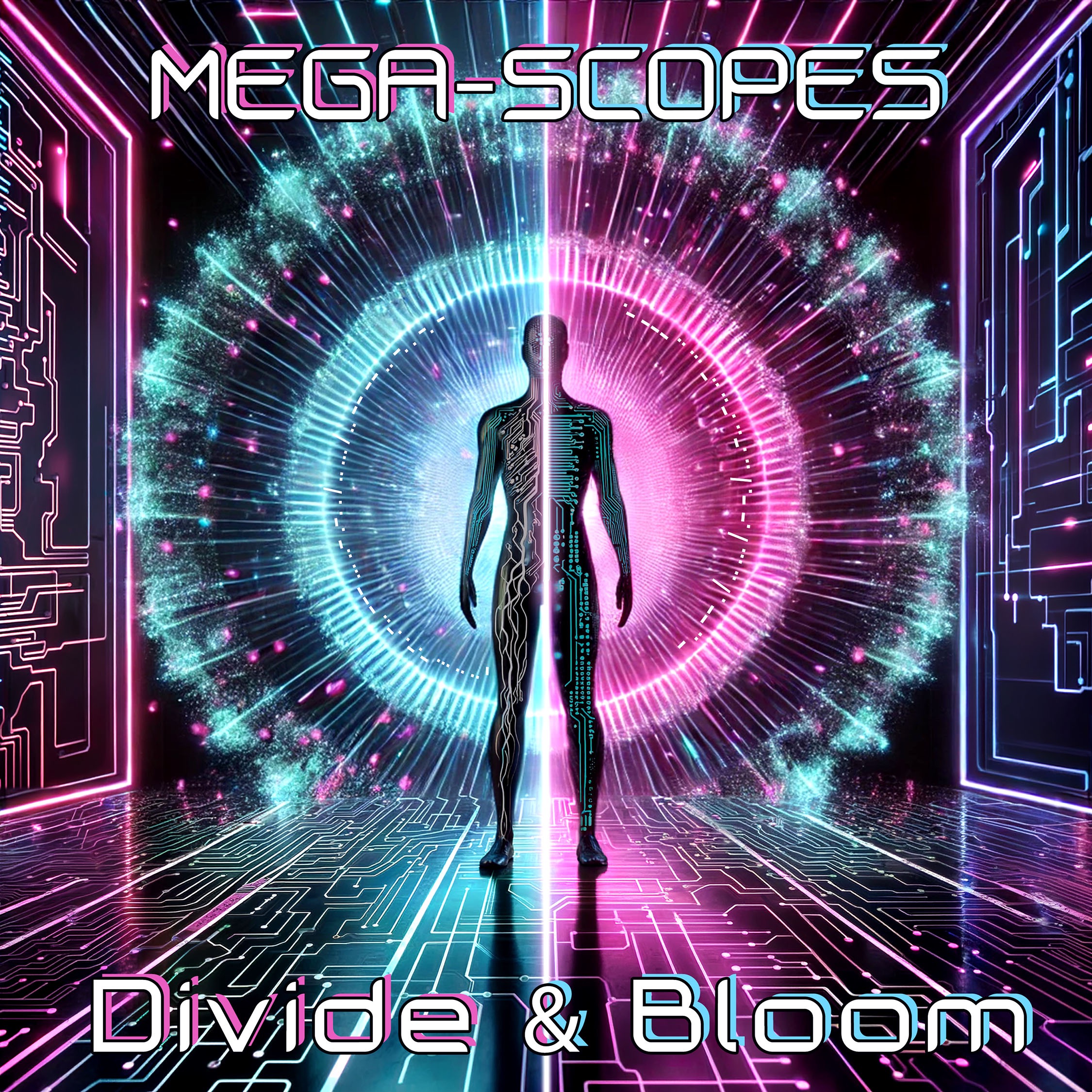 Video - Divide and Bloom thumbnail