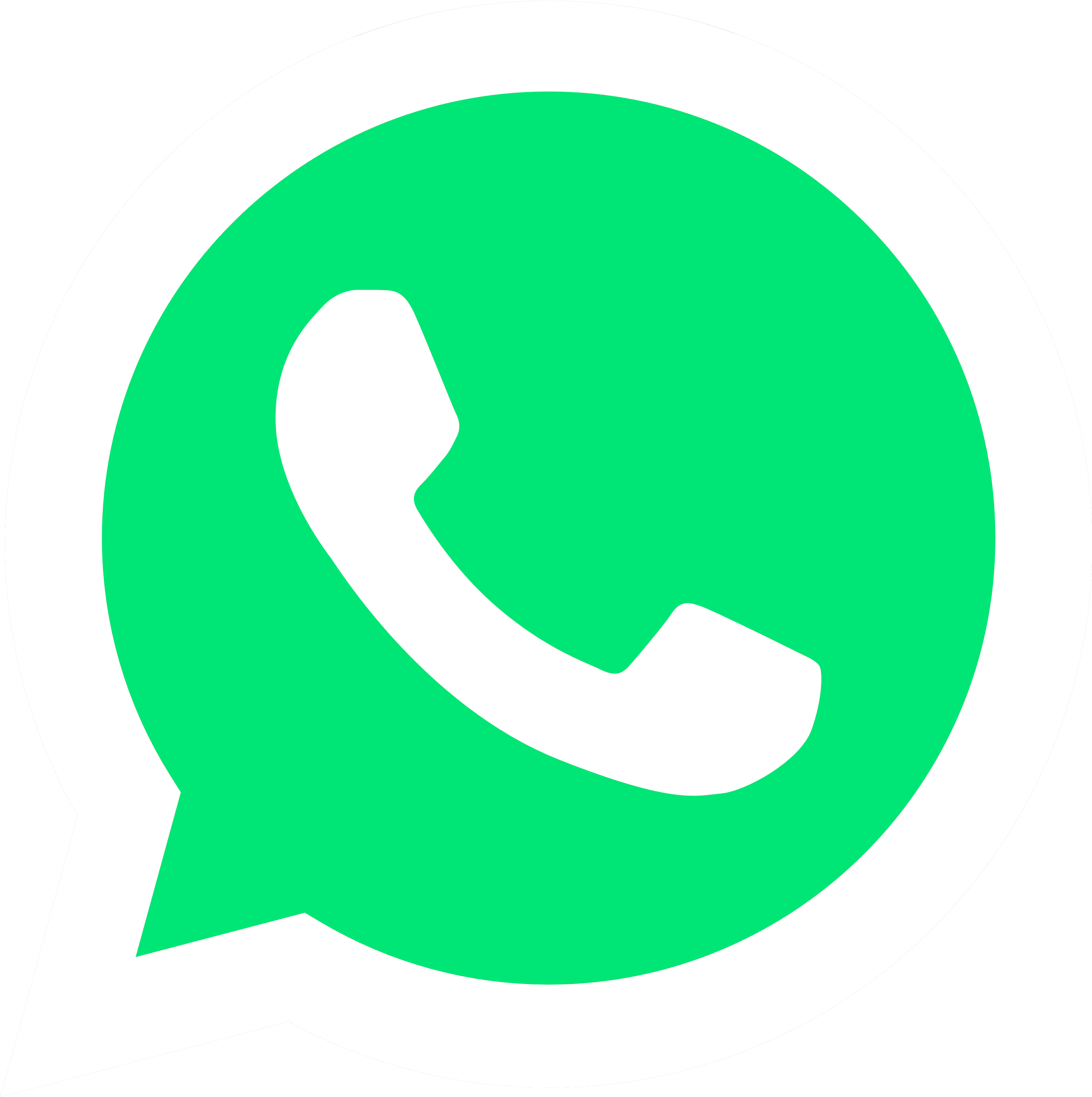 FALE CONOSCO | WHATSAPP  thumbnail