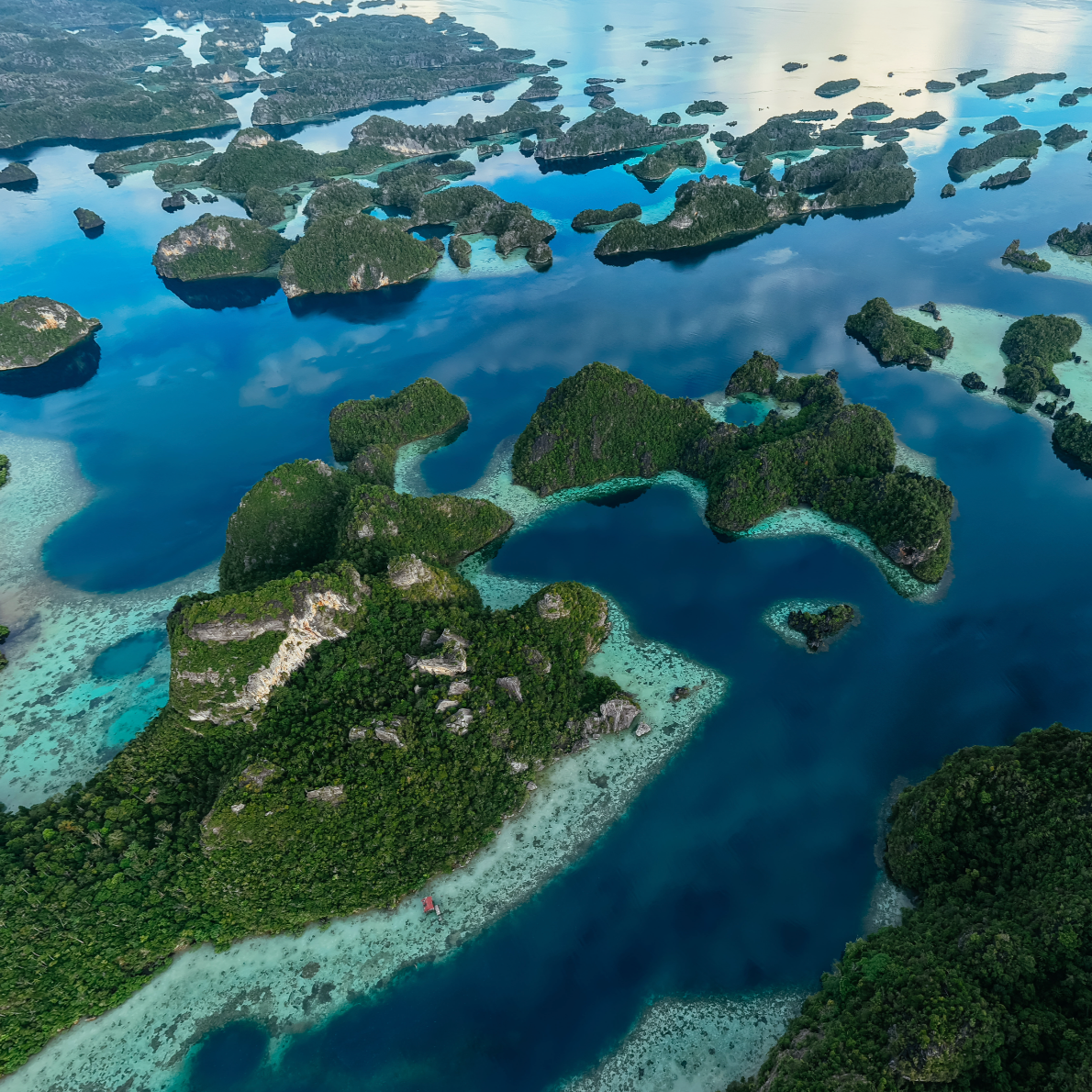 Waitlist for Raja Ampat Trip 2026 thumbnail