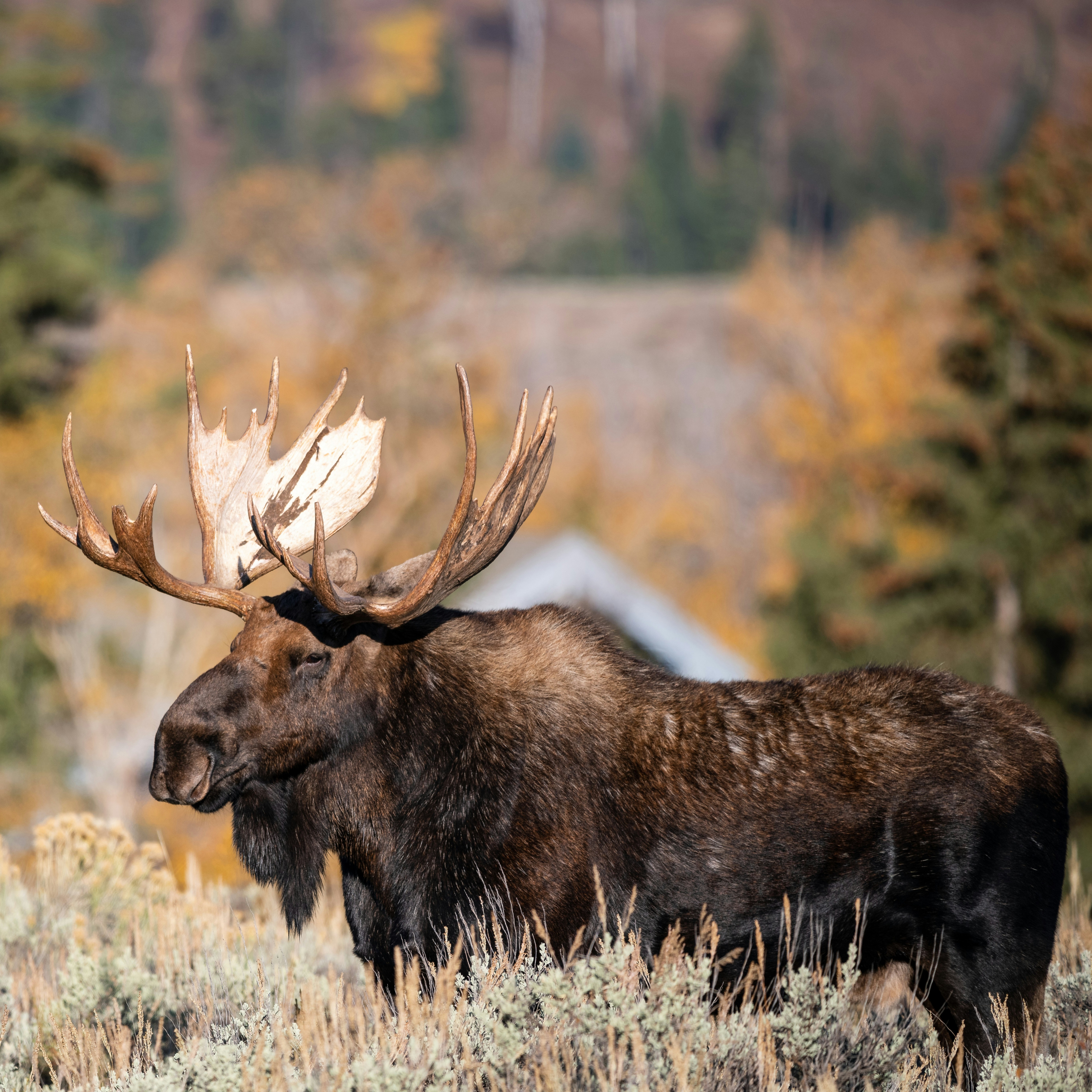 Projects We Help Support  thumbnail