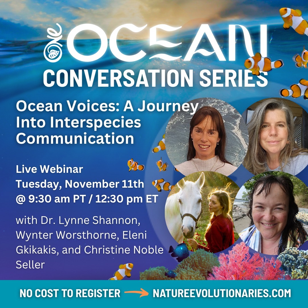 Replay from ONE Now Available: Ocean Voices: A Journey into Intuitive Interspecies Communication thumbnail