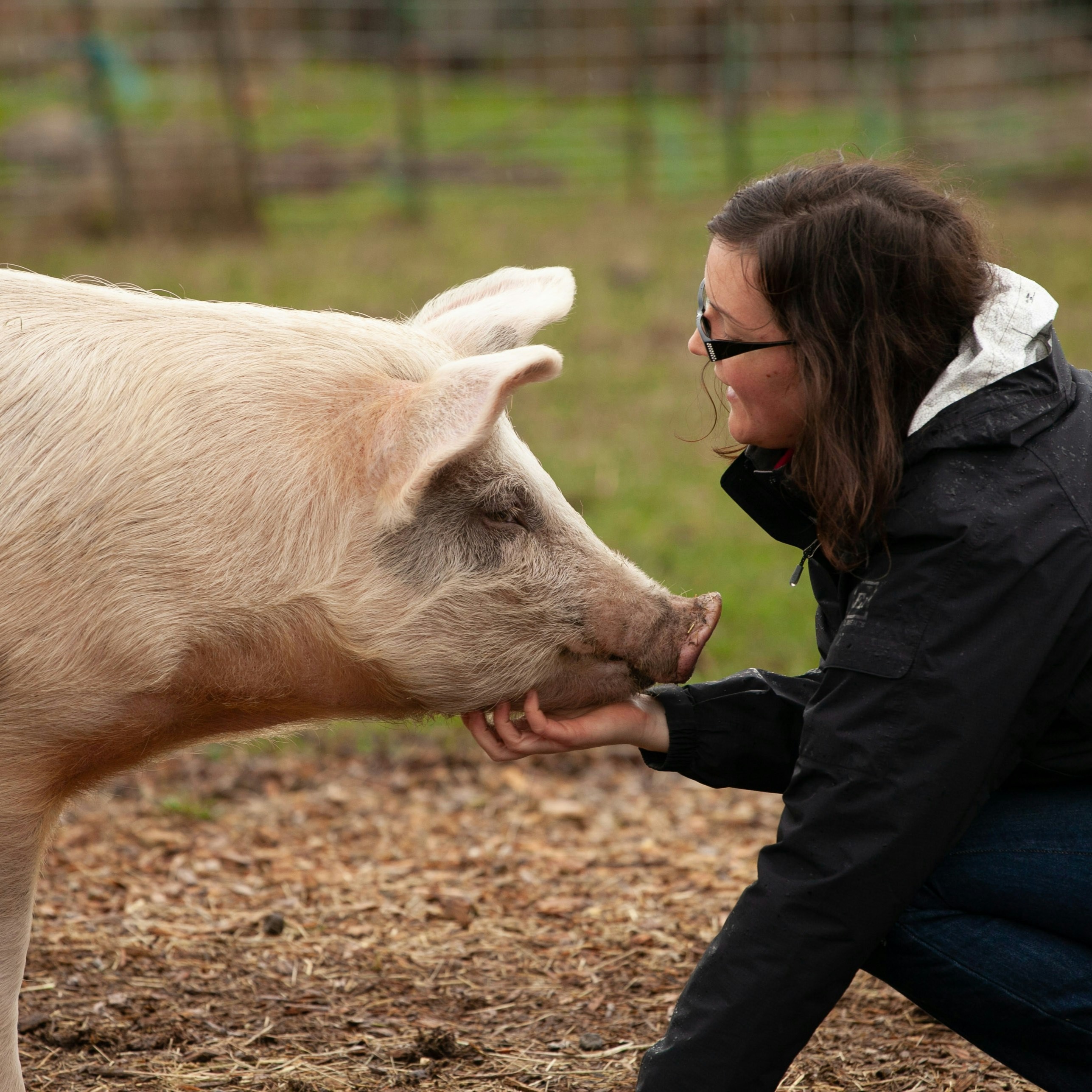 Learn & Support thumbnail